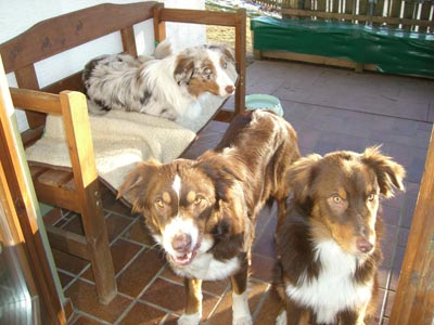 200811.jpg