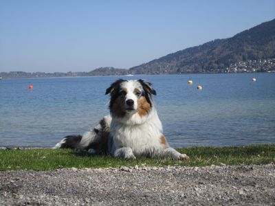 400_Abby April 2011 055