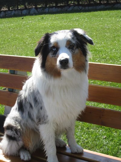 400_Abby April 2011 064