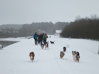 400_DSCF2016