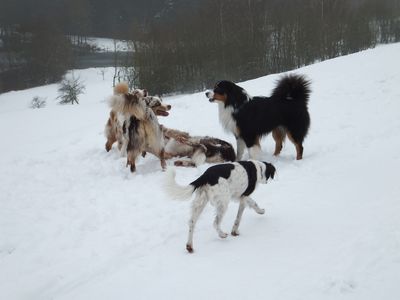 400_DSCF2022