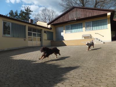 400_DSCF3400