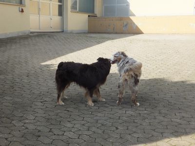 400_DSCF3409