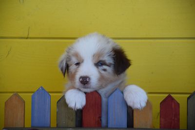 400_DSC_0096