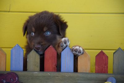 400_DSC_0117