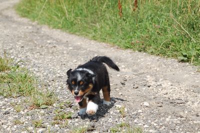 400_DSC_8294