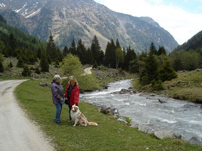 400_ScottyHintergöriach 105