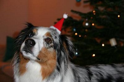 400_abby