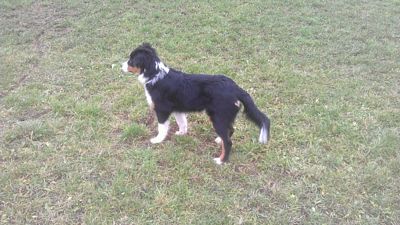 400_cody2
