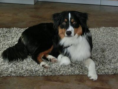 400_cody3