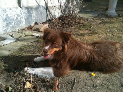 400_cooper10