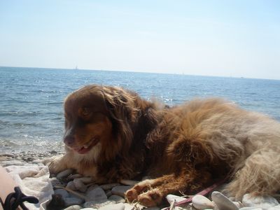 400_cooper2