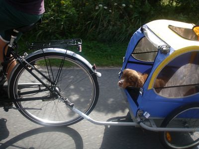 400_cooper4