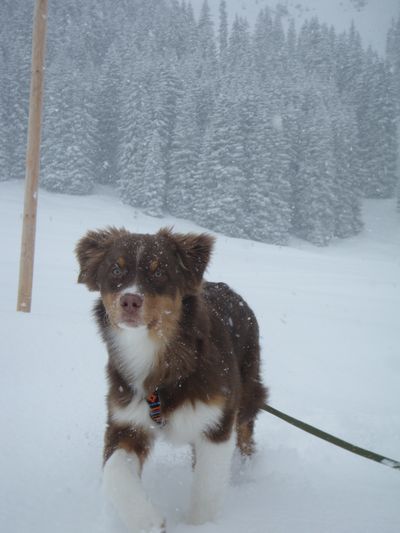 400_cooper5