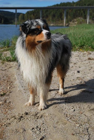 400_jack