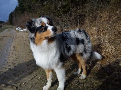 400_jack104