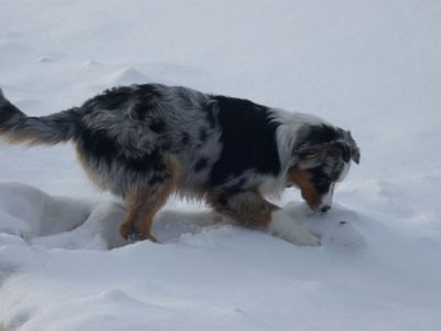 400_jack13