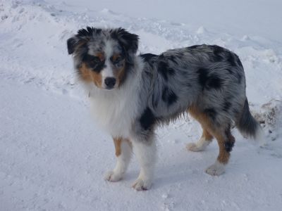 400_jack9