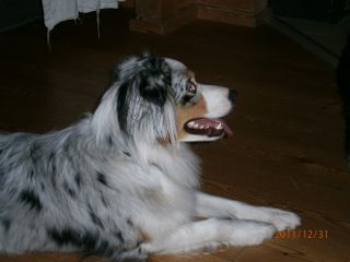 400_olivia