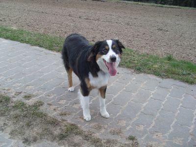 400_pepper05101