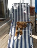 balu0809 06.08.2009