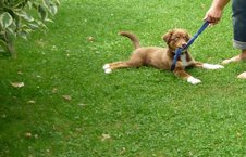 balu08091