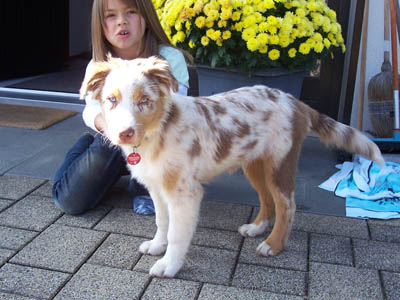 benji-3.jpg