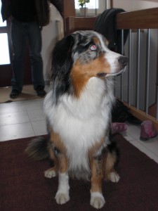 400_img_0587 cimg0123