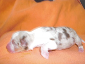 cimg0586
