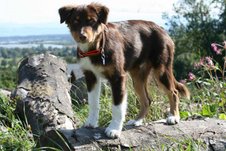 mika09097