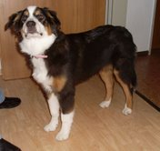 pepper09092