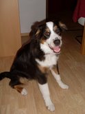 pepper09093