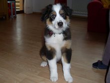 pepper13.07