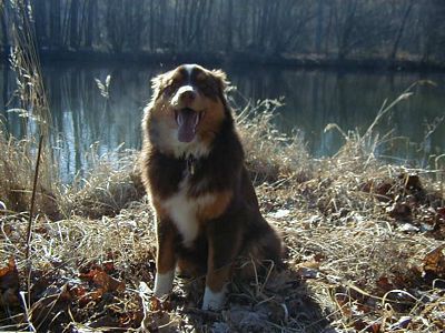 praes_shira_10022008-2.JPG