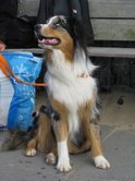 rudi09092