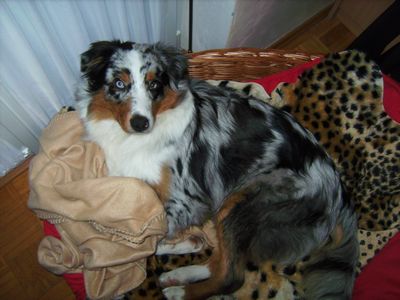 tn_januar-2008-121.JPG