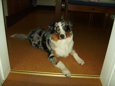 tn_januar-2008-137.JPG