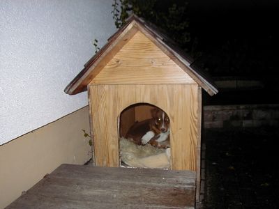 tn_shira28092007.jpg